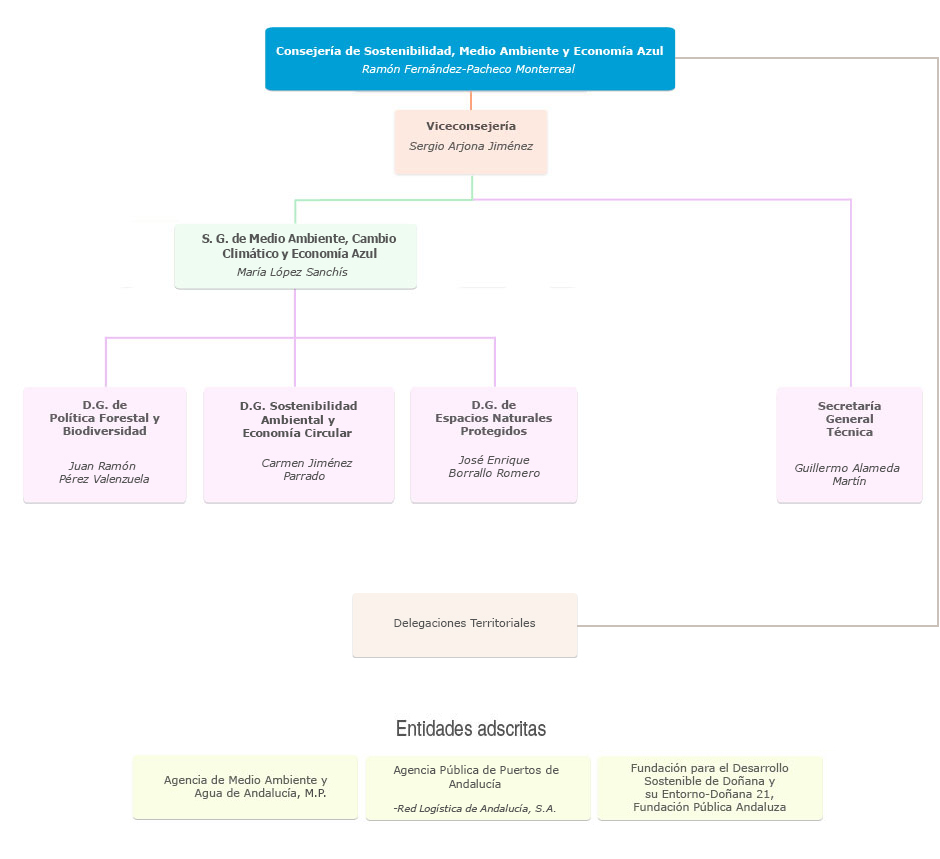 Organigrama de la Consejería de Sostenibilidad, Medio Ambiente y Economía Azul