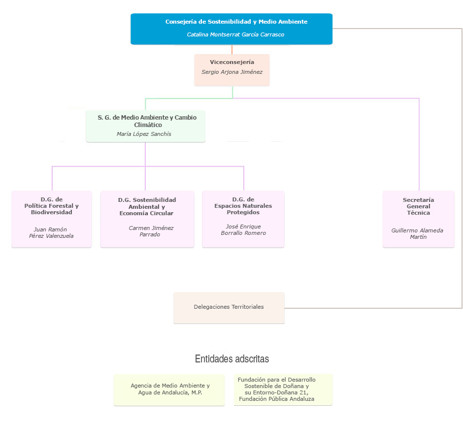 Organigrama de la Consejería de Sostenibilidad y Medio Ambiente