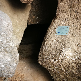 Proyecto Cuevas Sorbas, Foto 2