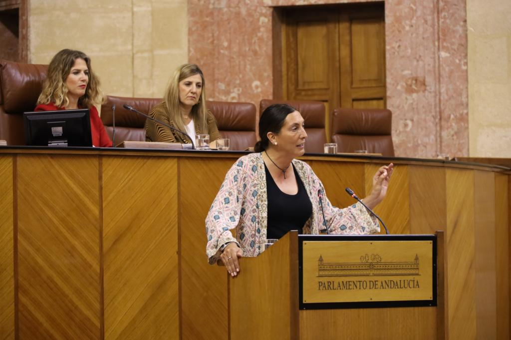 La consejera de Inclusión Social, Juventud, Familias e Igualdad, Loles López, en el Parlamento. 