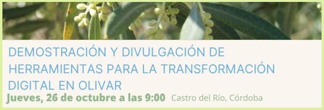 jornada oli