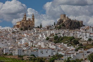 Olvera