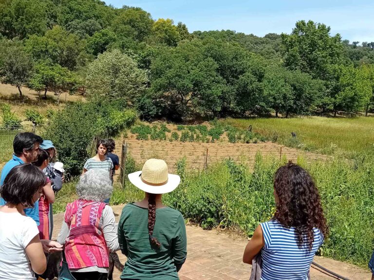 Aulas de agroecología