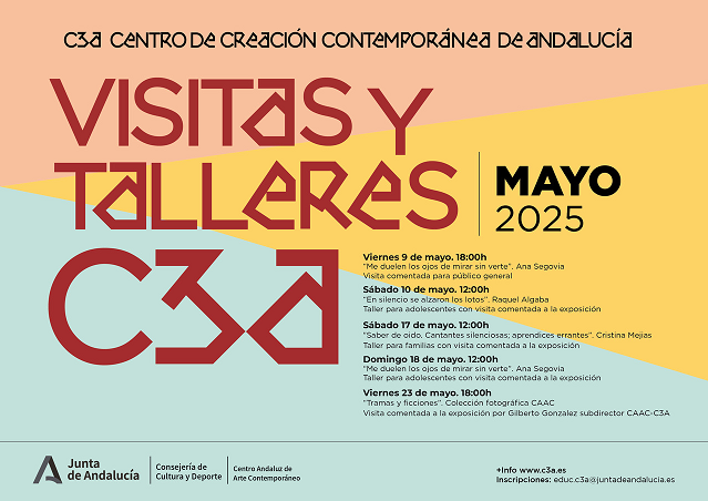 C3A dia internac museos 25